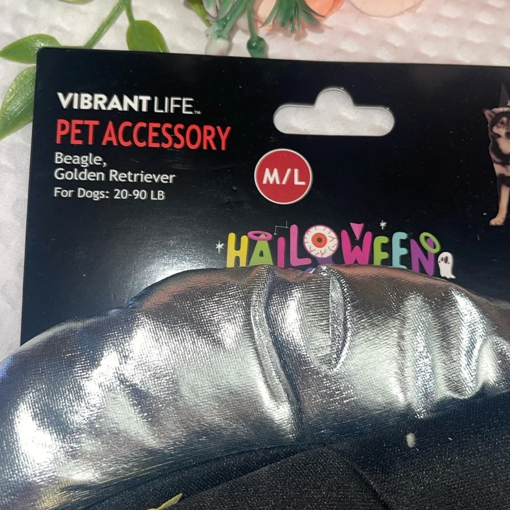Vibrant Life Silver and Black Pet Hat